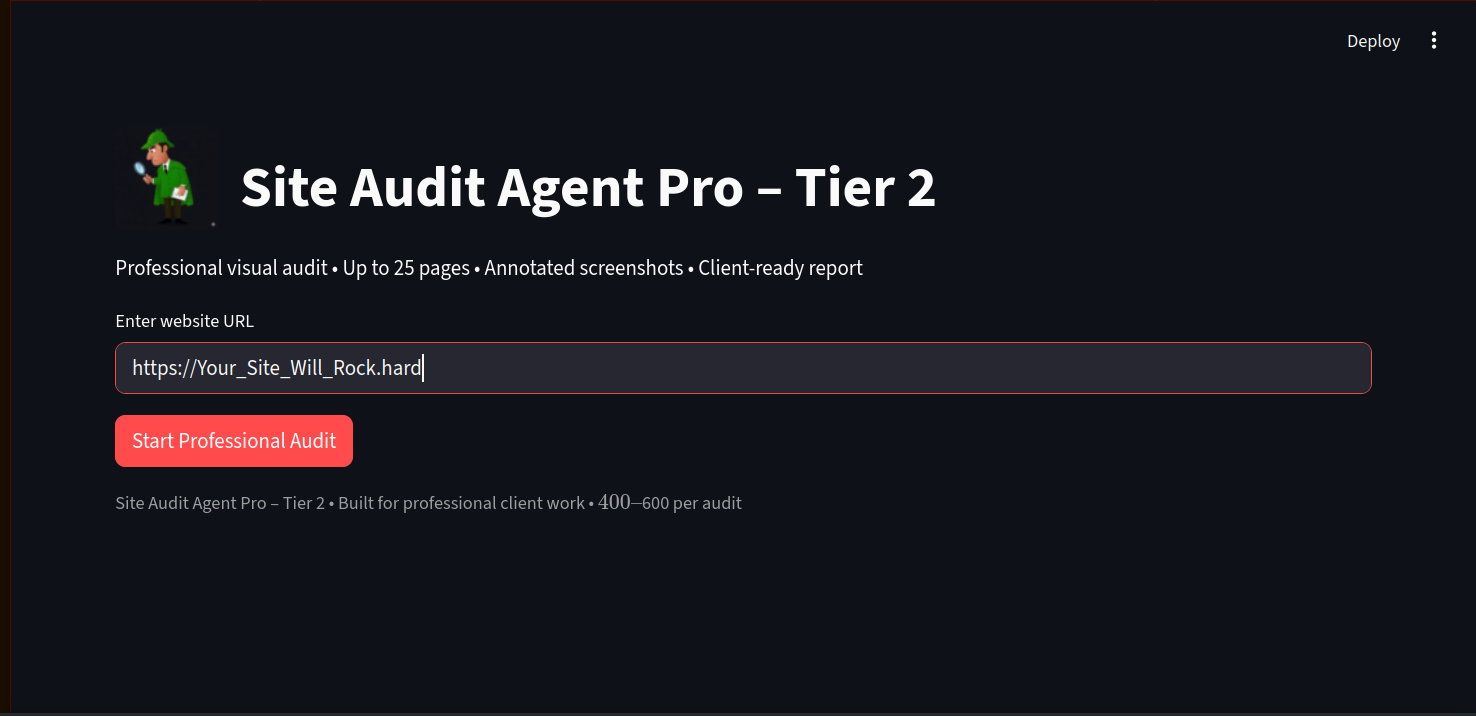 Site Audit Pro Interface Preview